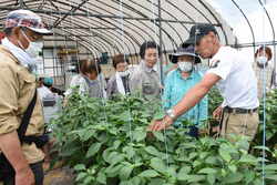 収量を伸ばすために 収穫開始期以降の管理を確認 お知らせ Jaいわて花巻