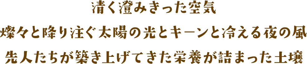 清く澄みきった空気 燦々と降り注ぐ太陽の光とキーンと冷える夜の風 先人たちが築き上げてきた栄養が詰まった土壌