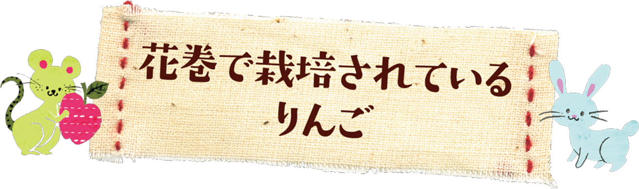 花巻で栽培されているりんご